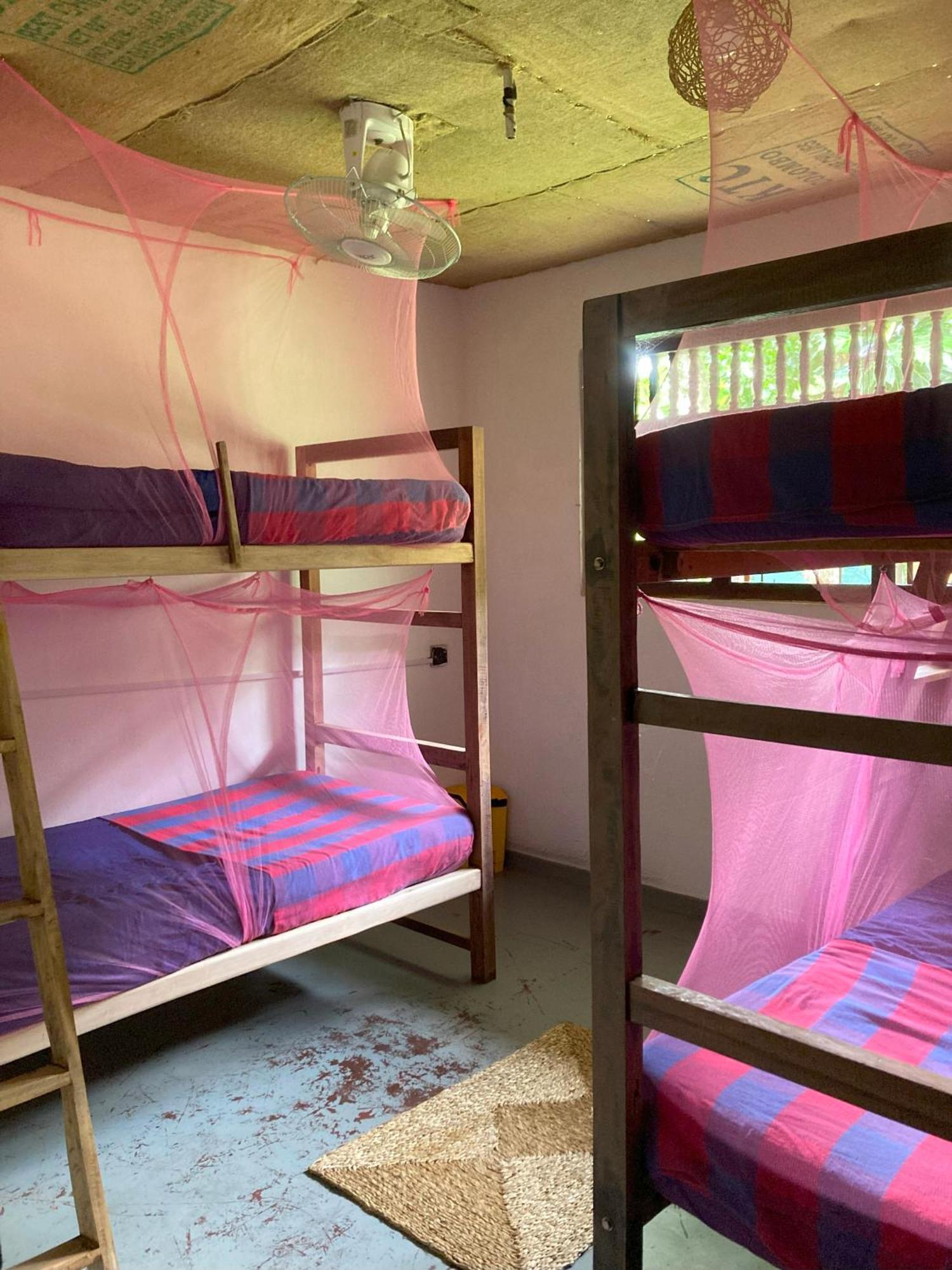 Hostel Singha Lounge Unawatuna Εξωτερικό φωτογραφία